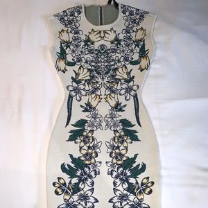 Bcbgmaxazria bodycon dress